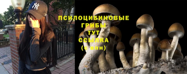 винт Майский