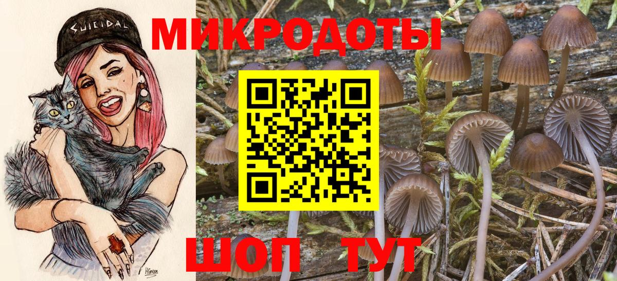 Псилоцибиновые грибы мицелий  Вход с VPN  Иваново 
